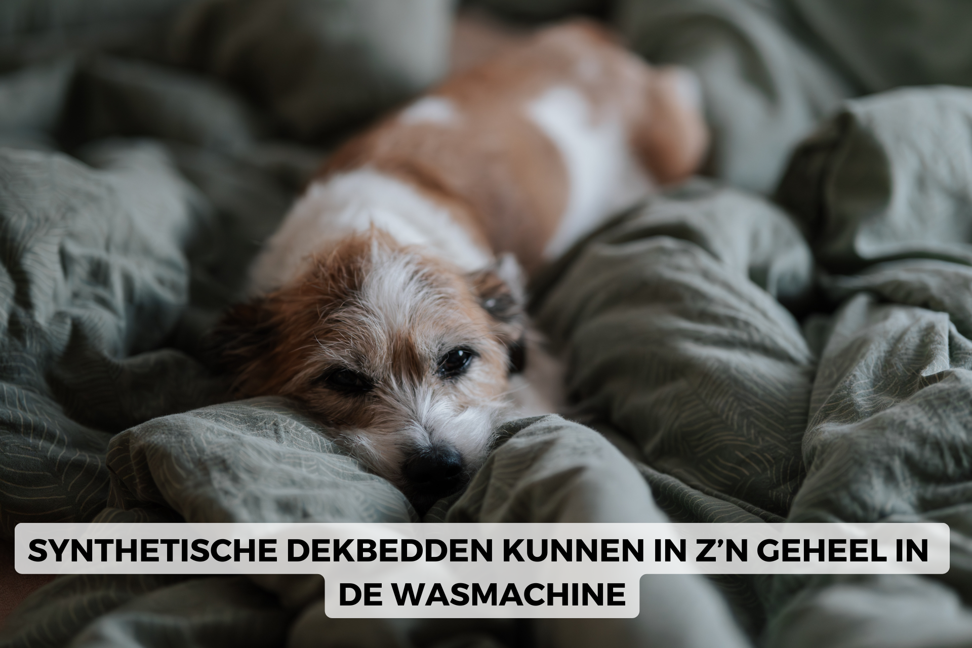 synthetische dekbedden